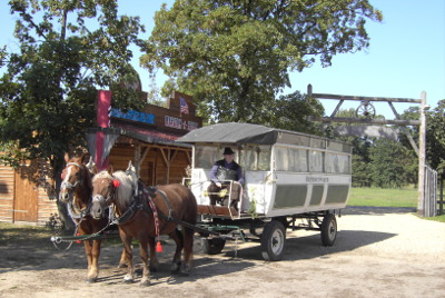 Reiten & Kutschfahrten 